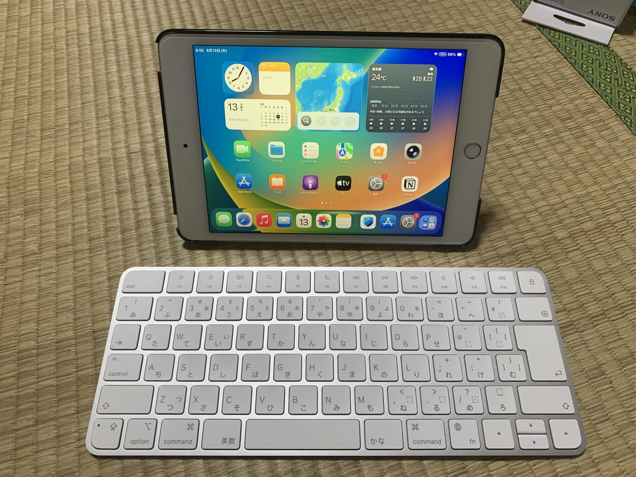 iPad